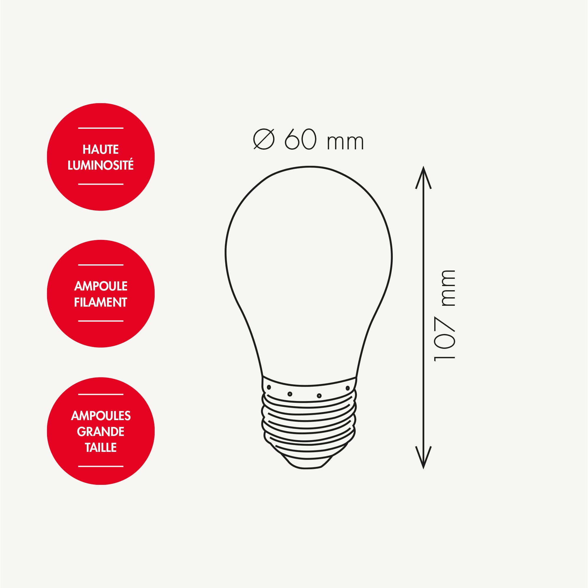 Lot de 5 ampoules E27